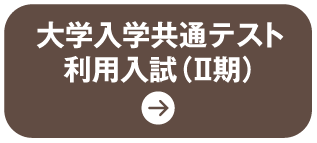 大学入学 共通テスト利用 入試（Ⅱ期）
