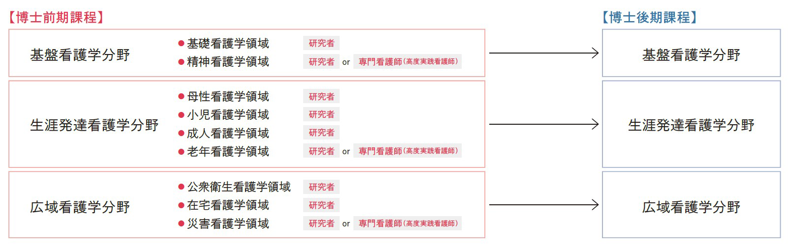 看護学研究科の構成