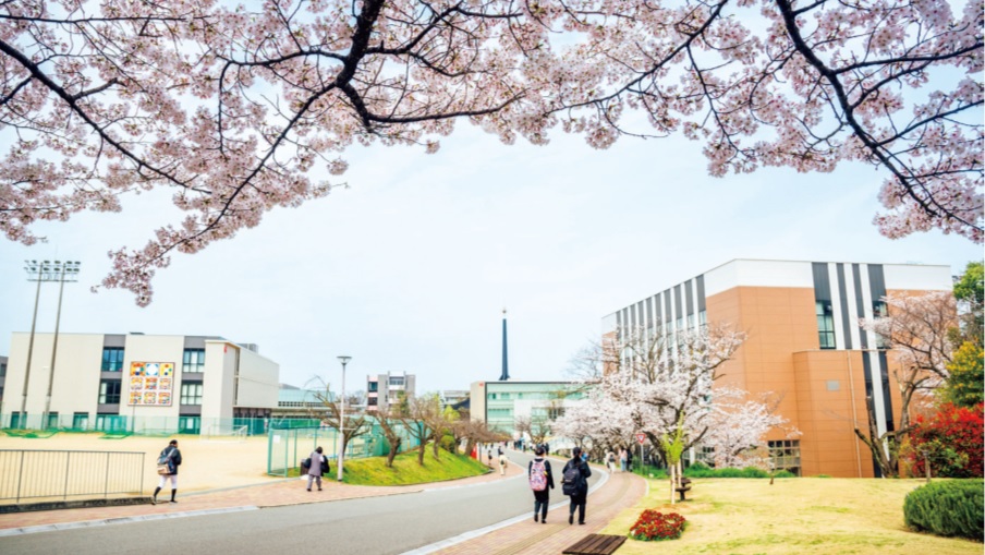 学内編入学制度