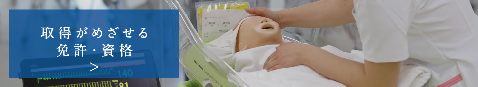 取得がめざせる免許・資格