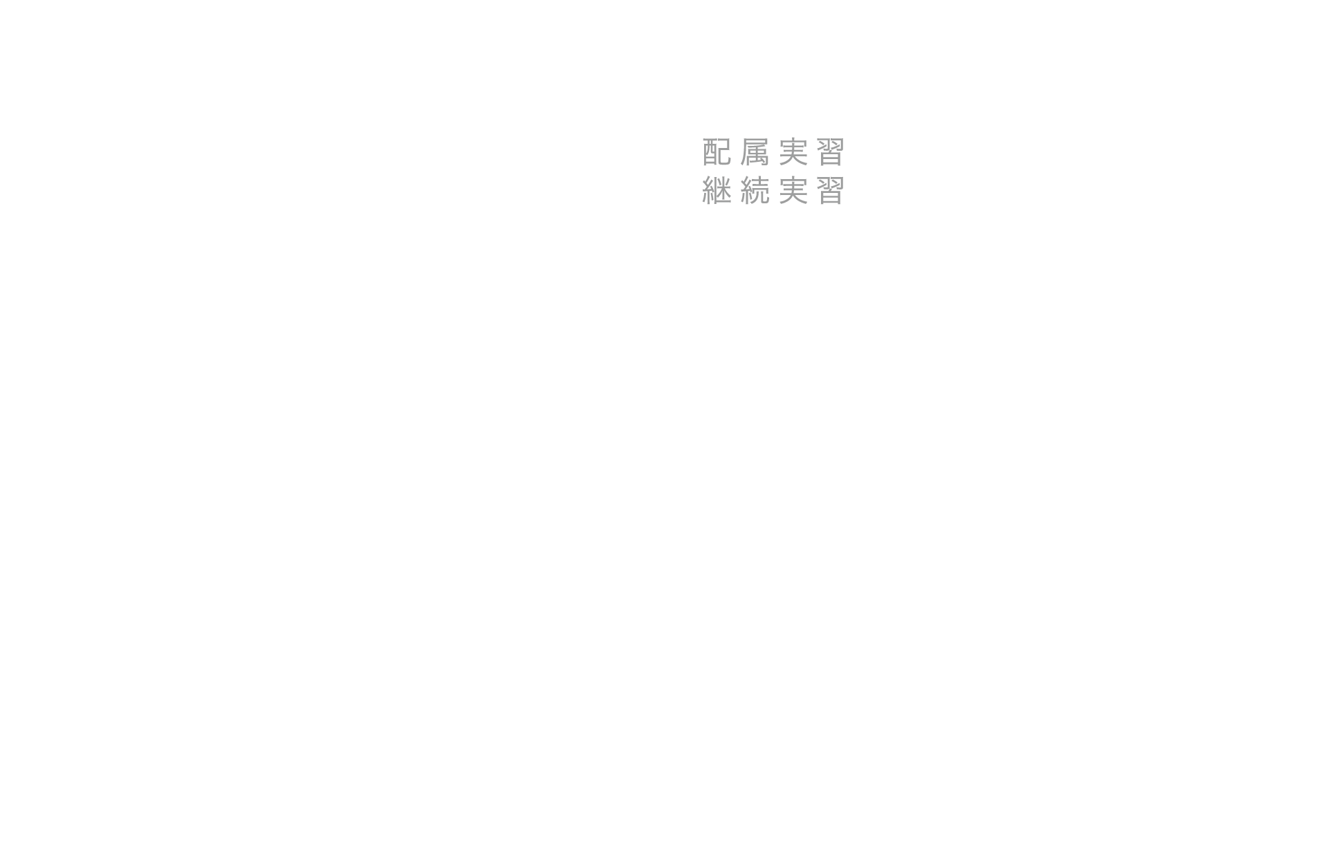 配属実習 継続実習