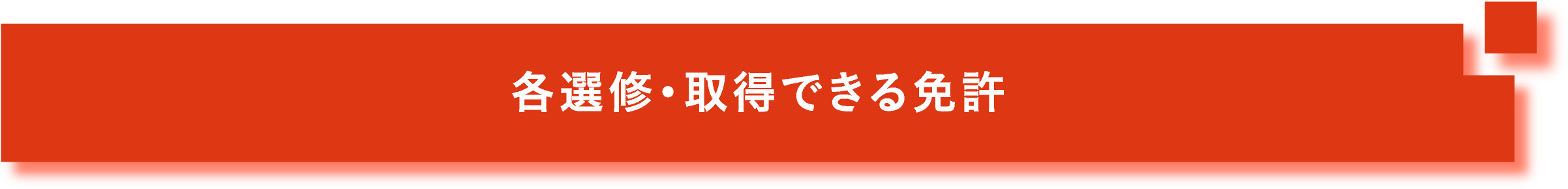 各選修・取得できる免許