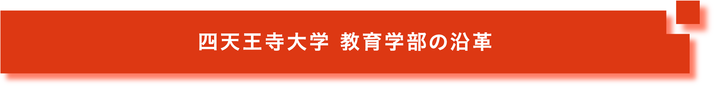 四天王寺大学 教育学部の沿革